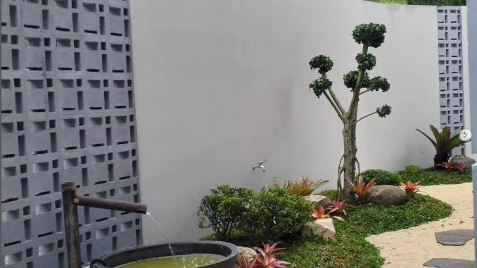 Solusi Taman Lahan Sempit Solusi Taman Lahan Sempit